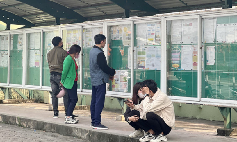 Mười thanh niên có một người thất nghiệp