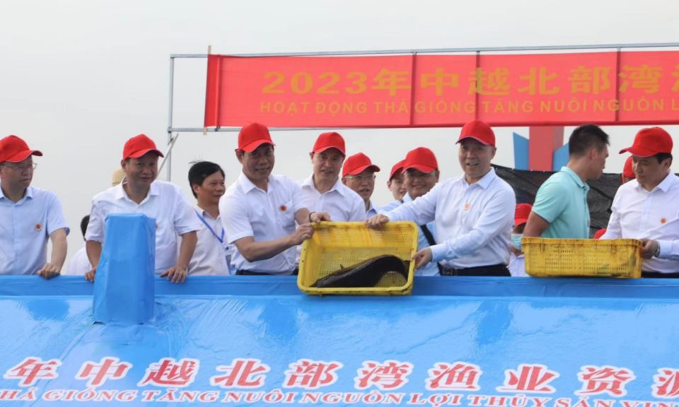 Quảng Ninh tham gia thả gần 100 triệu giống thuỷ sản trong Vịnh Bắc Bộ tại Đông Hưng (Trung Quốc)