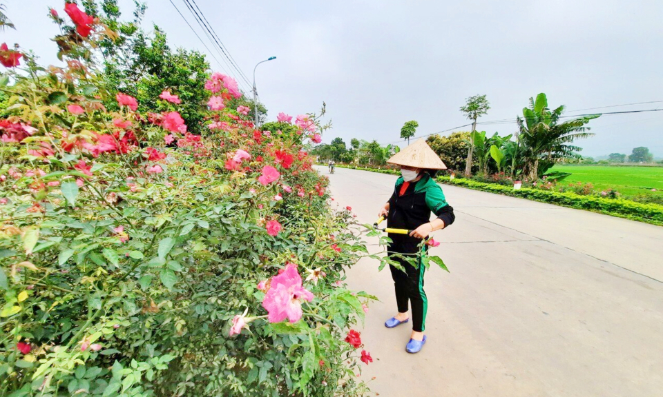 Bảo vệ môi trường nông thôn