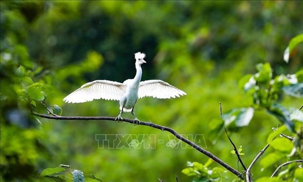 Various activities to respond to Int’l Day for Biological Diversity