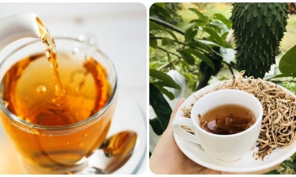Uống trà mãng cầu có tốt không?