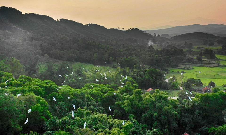 The peaceful scene of Hua mountain stork forest 	