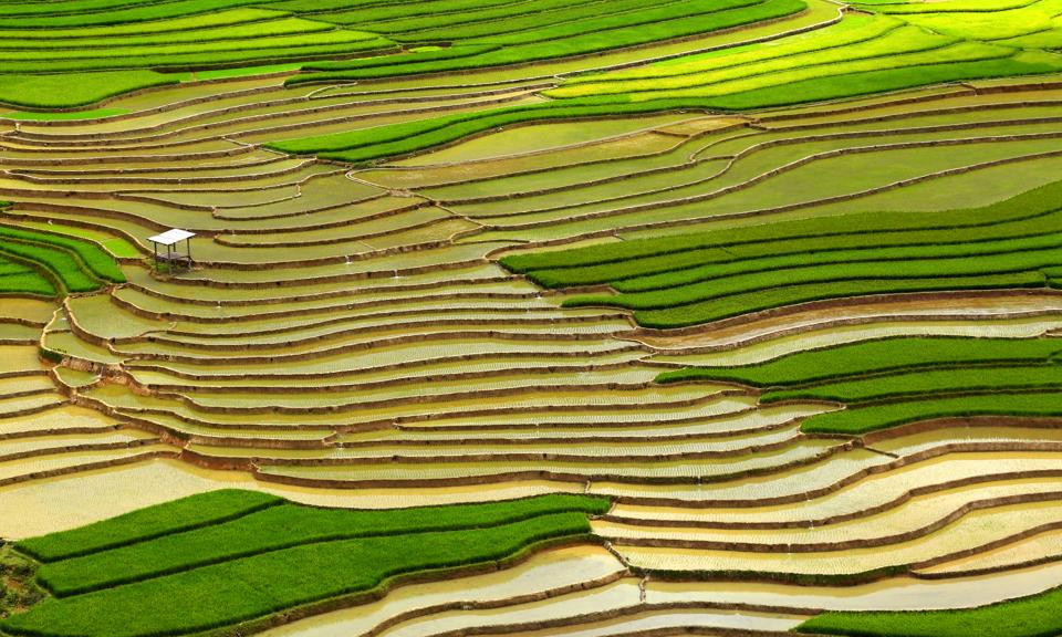 Mù Cang Chải mùa đổ nước đẹp như tranh thủy mặc