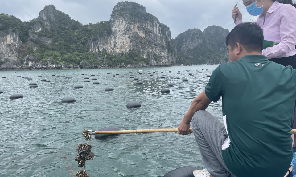 Chung tay bảo vệ môi trường biển bền vững