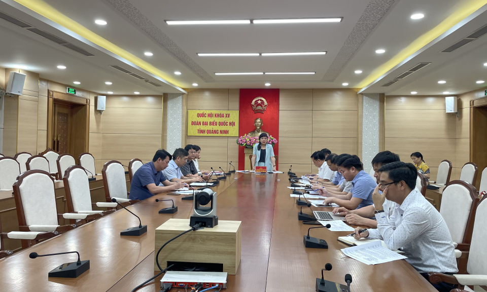 Đoàn ĐBQH tỉnh thống nhất chương trình giám sát chuyên đề