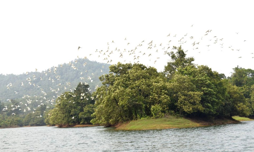 A poetic lake on the mountain
