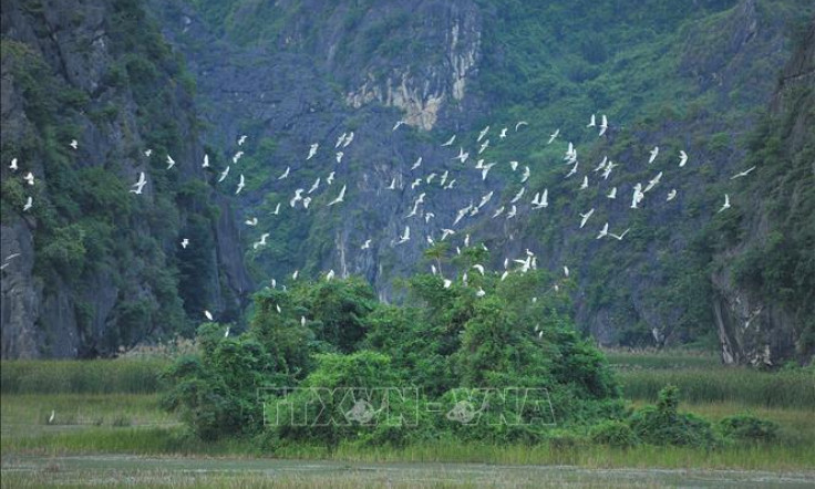 Thay đổi hành vi, thúc đẩy lối sống hài hòa với thiên nhiên