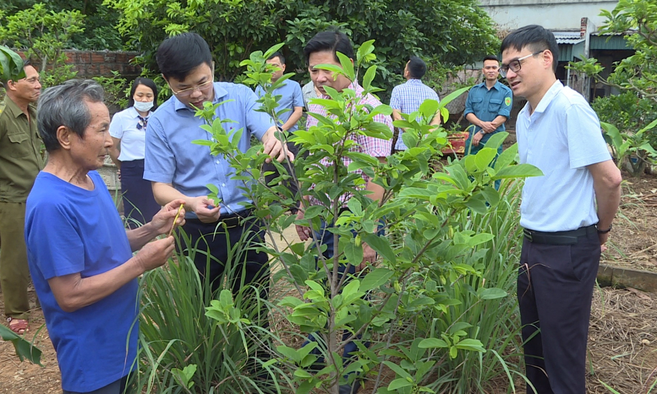Sức lan tỏa từ phong trào học tập và làm theo Bác
