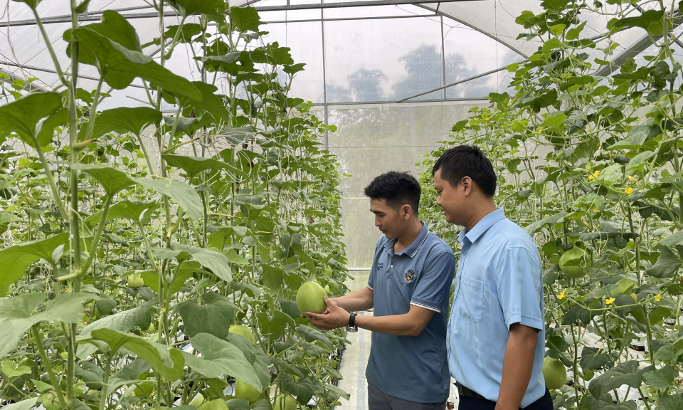 Nhân lên những tỷ phú, triệu phú nông dân