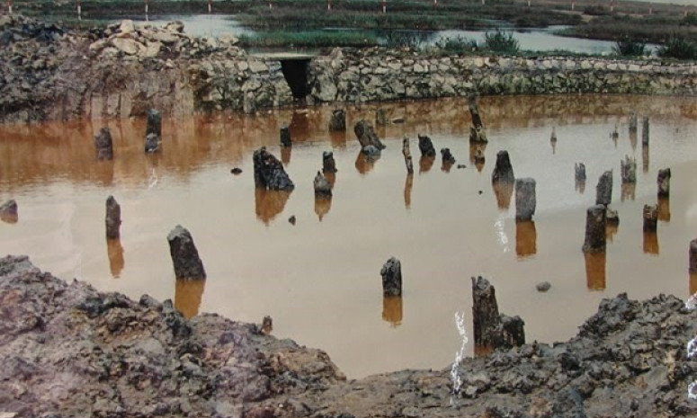 Bach Dang pile yard added to dossier seeking UNESCO recognition for Yen Tu complex