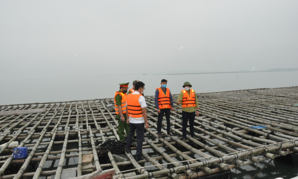 Nâng cao hiệu lực quản lý nhà nước trong NTTS
