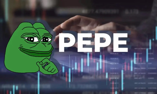 Mất nghìn USD vì chạy theo cơn sốt meme coin mới