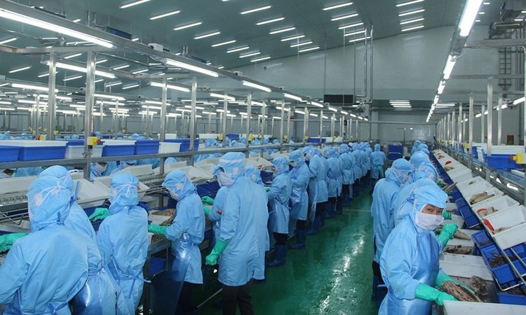 Removing difficulties for seafood export