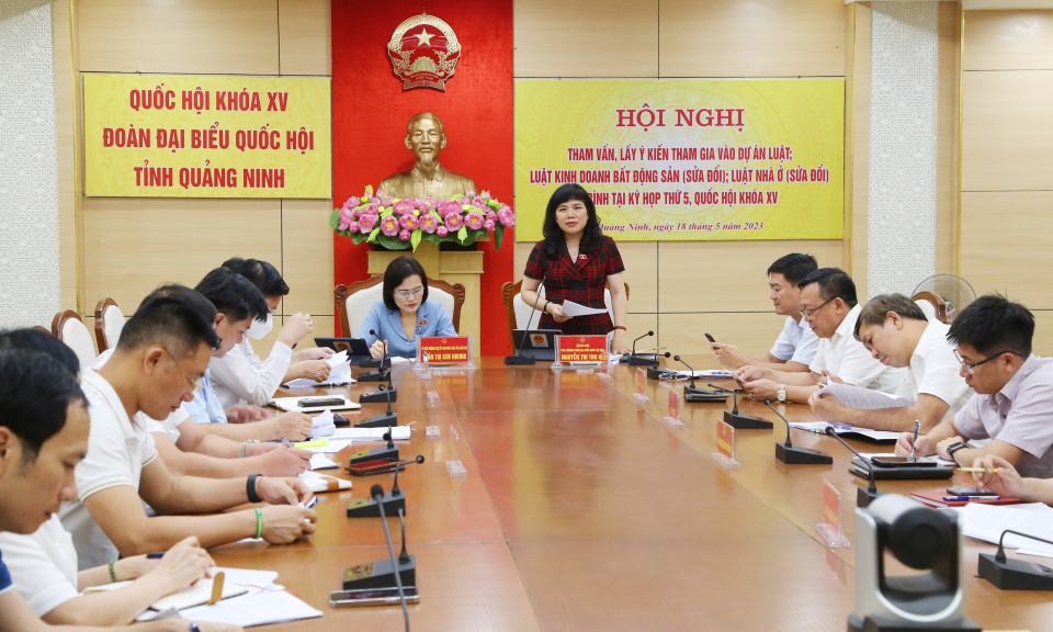 Đoàn ĐBQH tỉnh lấy ý kiến tham gia vào dự án Luật Kinh doanh bất động sản (sửa đổi), Luật Nhà ở (sửa đổi)