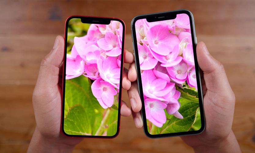 Apple tự sản xuất màn hình, giảm lệ thuộc Samsung