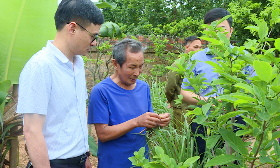 Đông Triều: Nỗ lực nâng cao chất lượng cuộc sống cho người dân