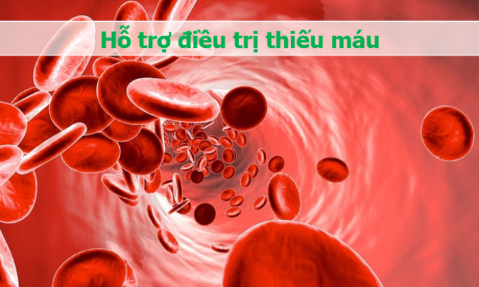 Lợi ích bất ngờ của loại rau quen thuộc với sức khỏe