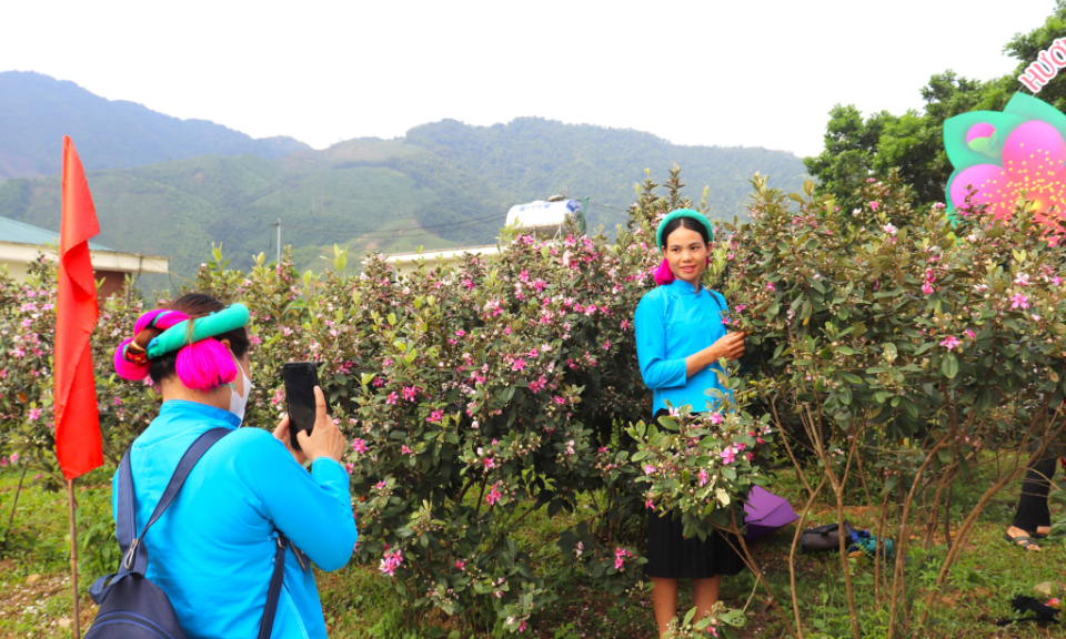 Border Hoa Sim Festival promotes cultural identities