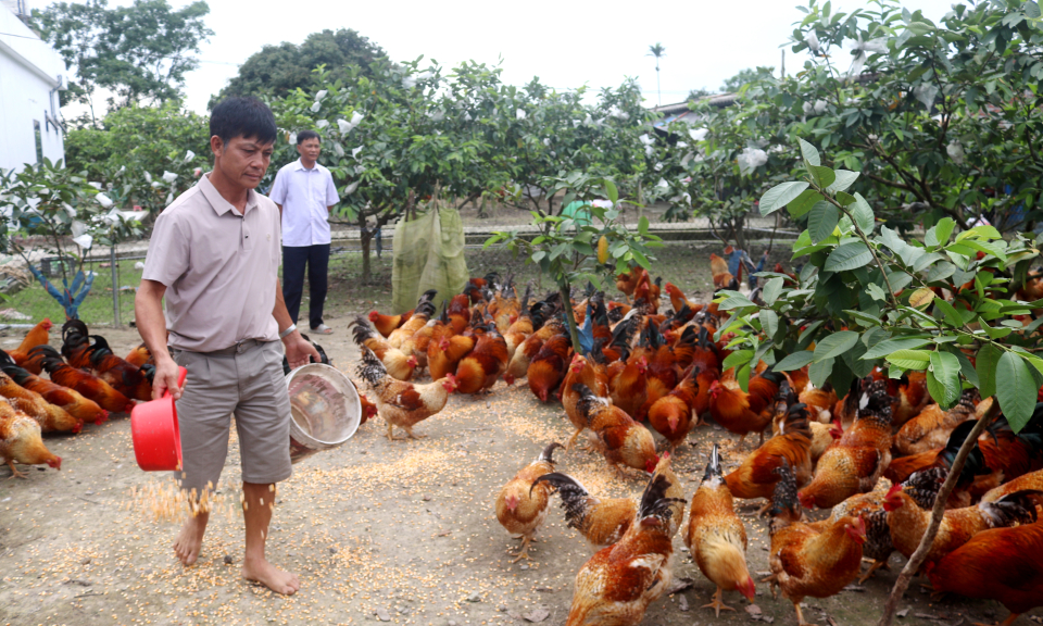 Niềm vui từ xã Nông thôn mới kiểu mẫu Quảng Tân