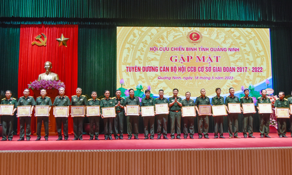 CCB tỉnh: Xây dựng tổ chức hội vững mạnh, toàn diện