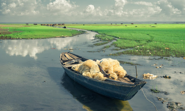 Trảng cỏ non đẹp như tranh ở hồ Trị An