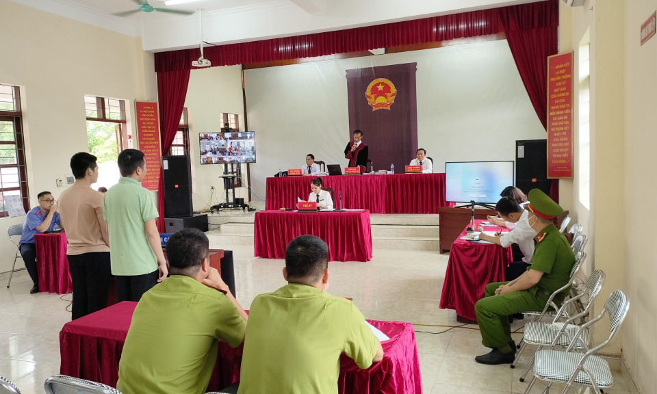 57 tháng tù giam cho tội "Hủy hoại rừng"