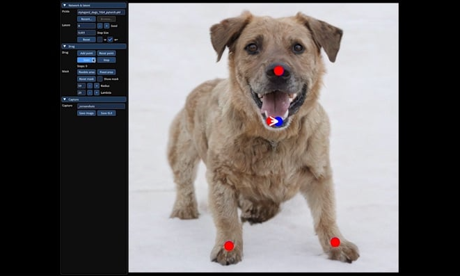 Tích hợp AI, một công cụ chỉnh sửa ảnh làm được điều đến Photoshop còn chưa thực hiện được