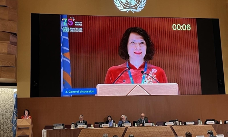 Việt Nam highly values WHO’s close technical partnership: official