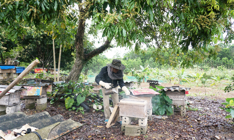 Xây dựng thương hiệu sản phẩm mạnh trong nước