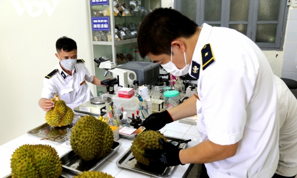 Bản tin vùng Đông Bắc ngày 31/5/2023