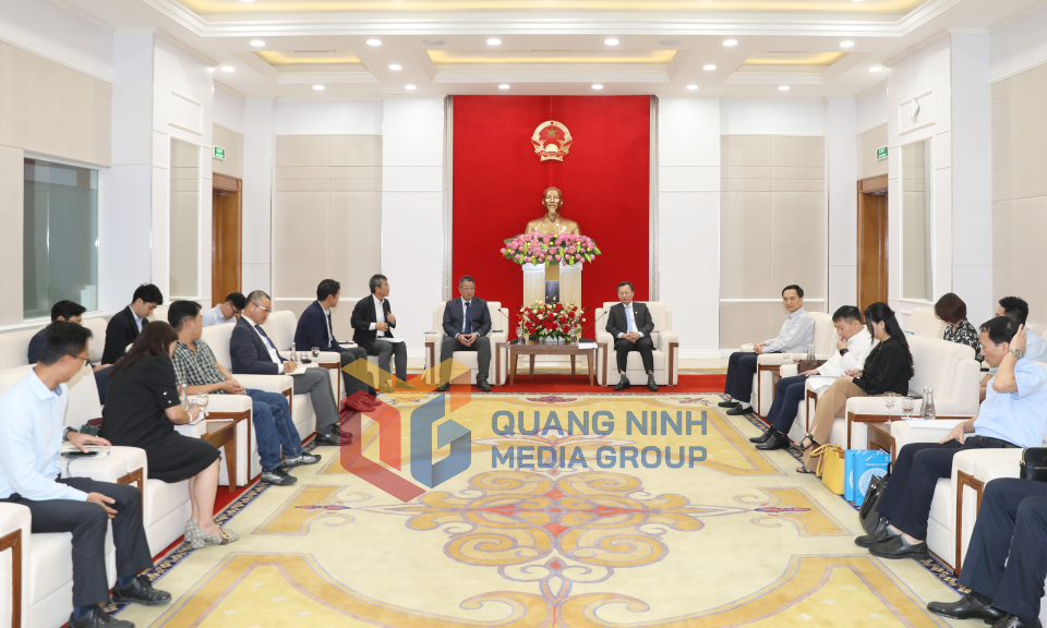 Quyền Chủ tịch UBND Cao Tường Huy tỉnh tiếp nhà đầu tư Nhật Bản, tháng 5-2023