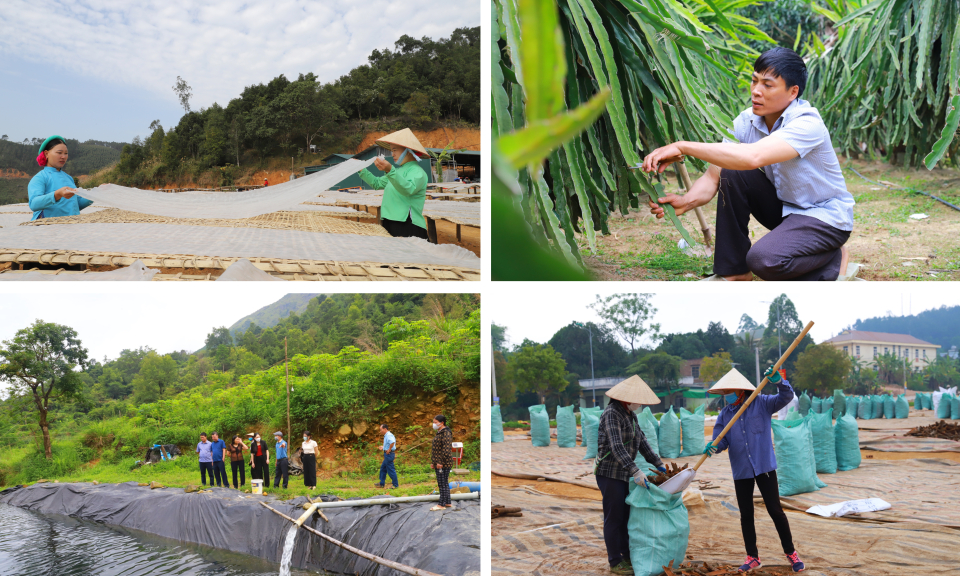 Bình Liêu: Quyết tâm thực hiện thắng lợi các mục tiêu, nhiệm vụ đề ra