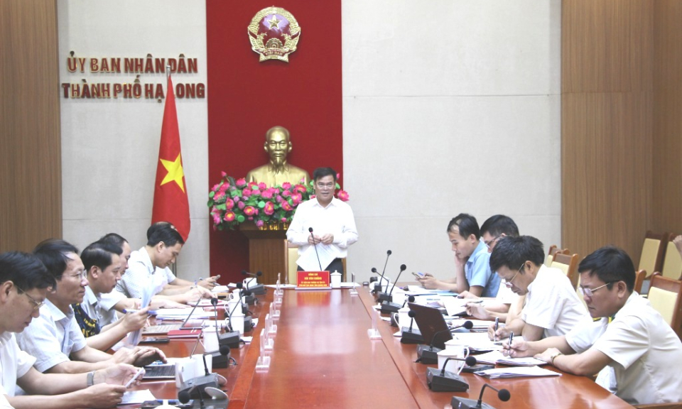 Họp bàn các giải pháp tăng thu ngân sách nhà nước trên địa bàn TP Hạ Long
