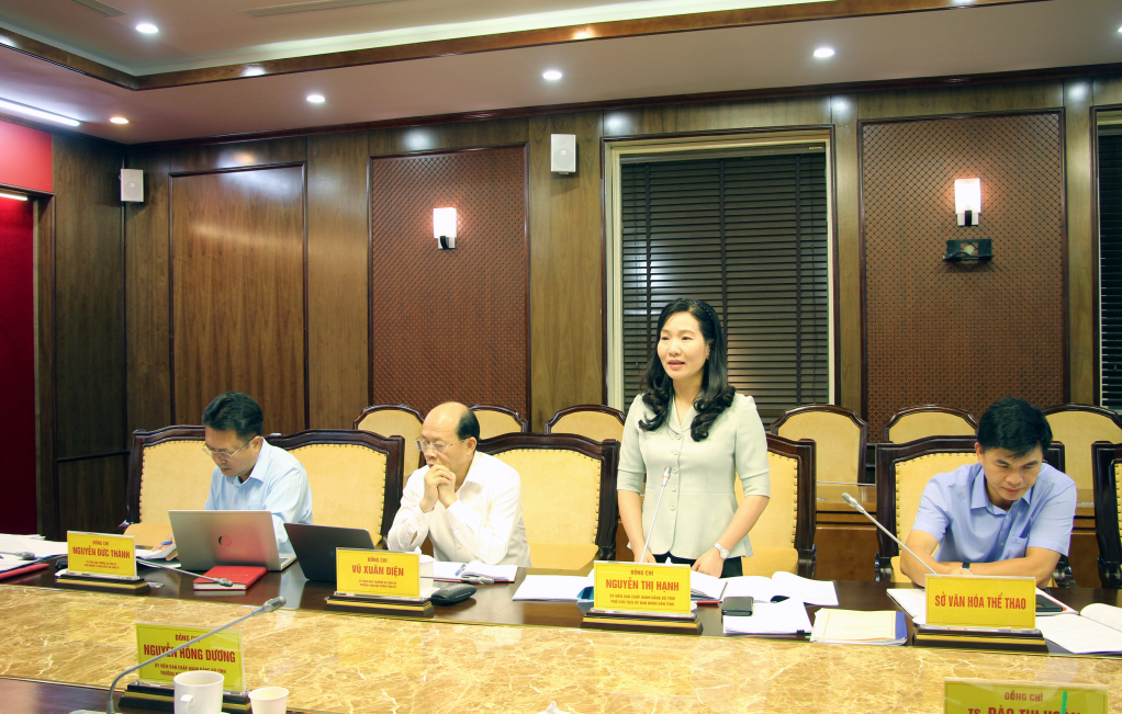 Đồng chí Nguyễn Thị Hạnh, Phó Chủ tịch UBND tỉnh, phát biểu tại cuộc họp.