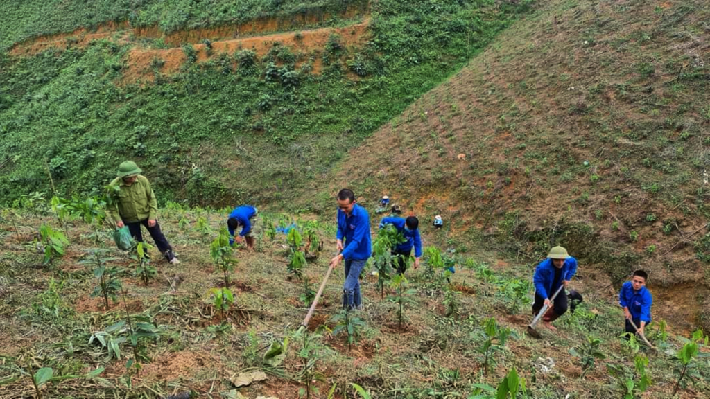 Đoàn viên, thanh niên xã Yên Than tham gia trồng rừng gỗ lớn trên địa bàn.
