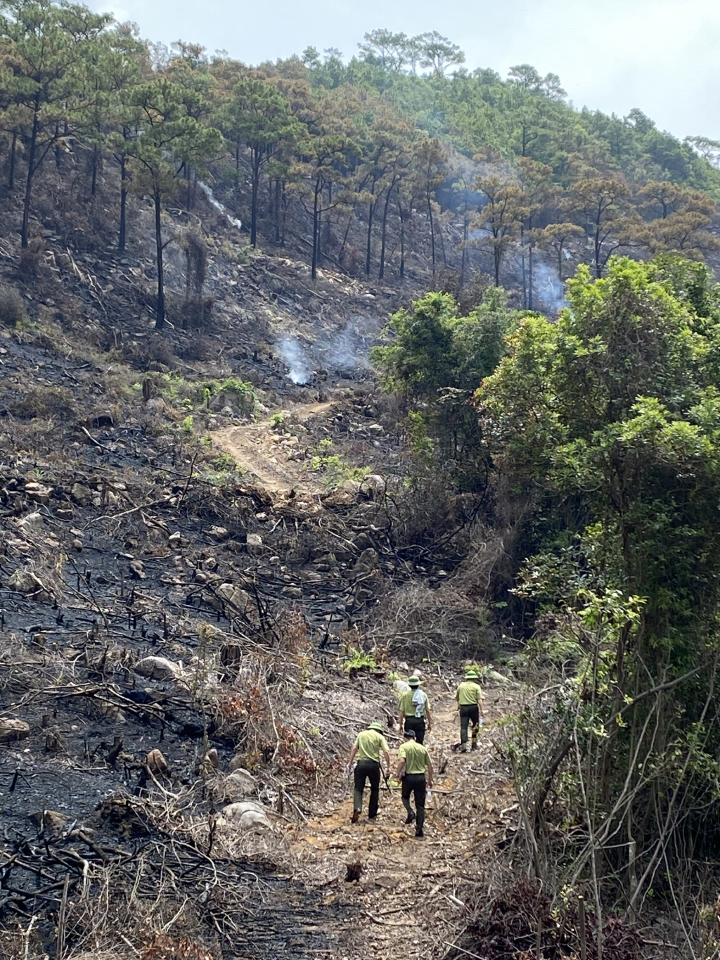 Lực lượng kiểm lâm Uông Bí rà soát lại hiện trường đám cháy rừng tại phường Phương Đông, TP Uông Bí.