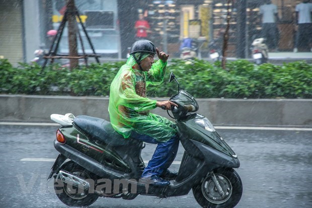 Tu 8/6 Bac Bo va Thanh Hoa don mua dong, co noi mua rat to hinh anh 1