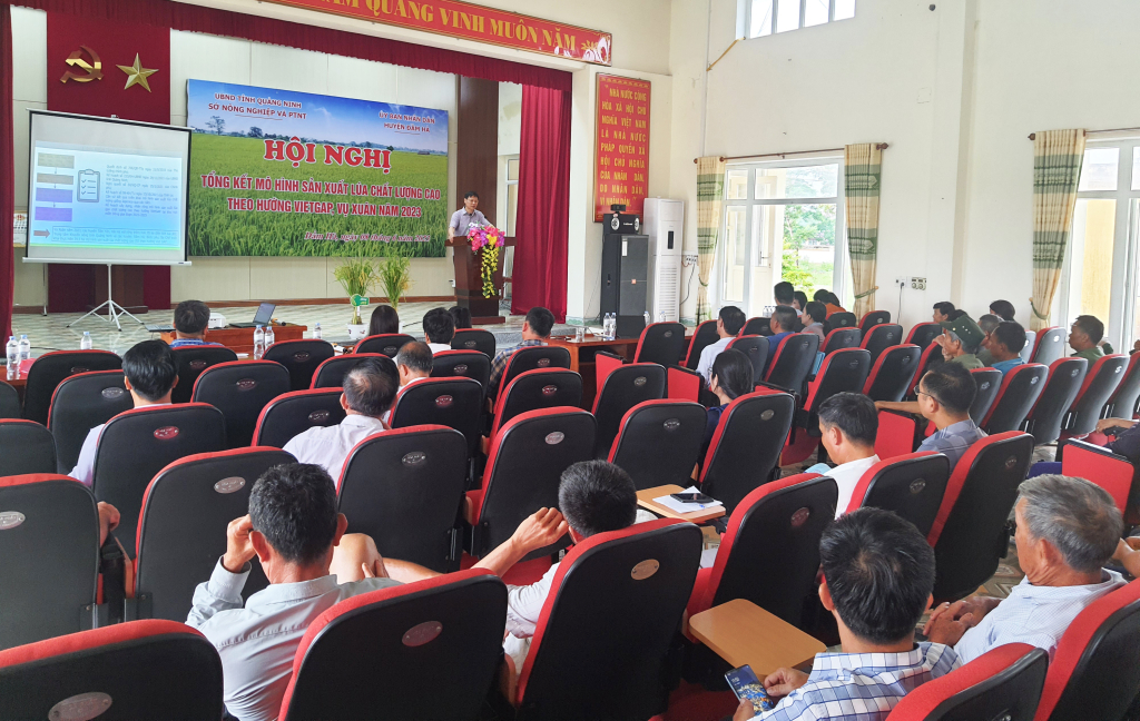 Hội nghị tổng kết mô hình sản xuất lúa chất lượng cao theo hướng VietGAP vụ Xuân 2023.
