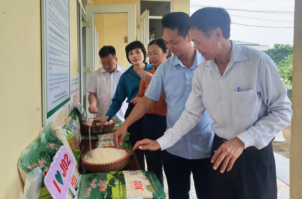 Lúa J02 có ưu điểm là ngắn ngày, năng suất cao, hình thức và chất lượng hạt gạo tốt, nấu thành cơm thơm ngon, có vị ngọt nhẹ… 
