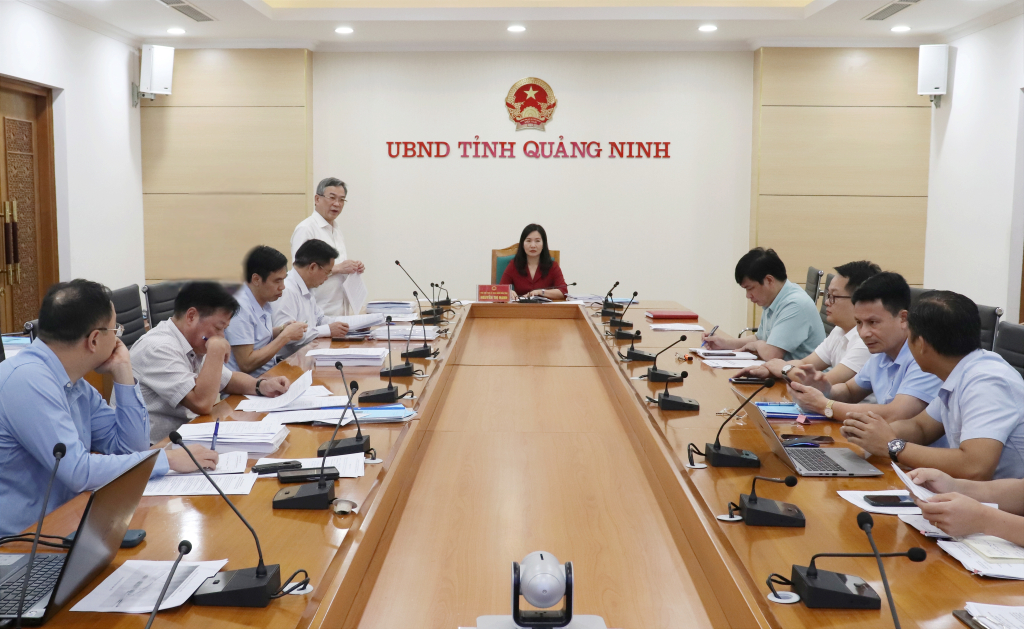 Phó Chủ tịch UBND tỉnh, Chủ tịch Hội đồng tư vấn, đặt tên, đổi tên đường, tên phố và công trình công cộng trên địa bàn tỉnh Quảng Ninh chủ trì cuộc họp. 