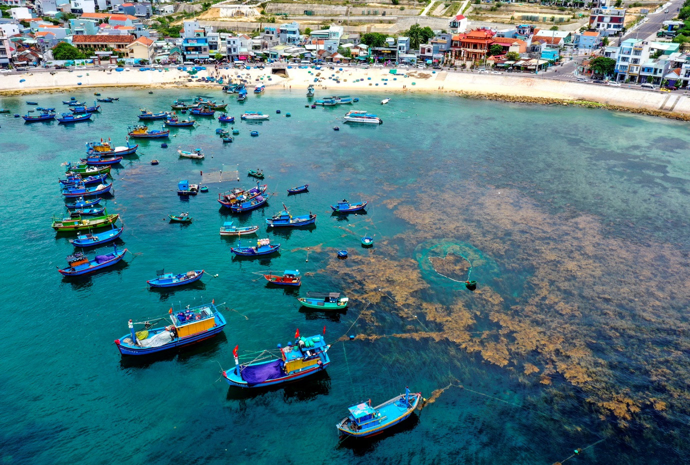 ‘trai tim bien’ giua canh dong rong mo binh dinh - 4