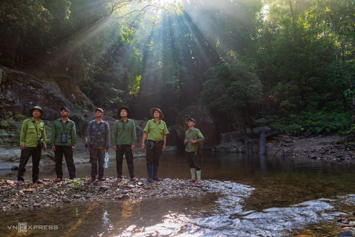 Immersing in nature's grandeur: Dakrong Nature Reserve