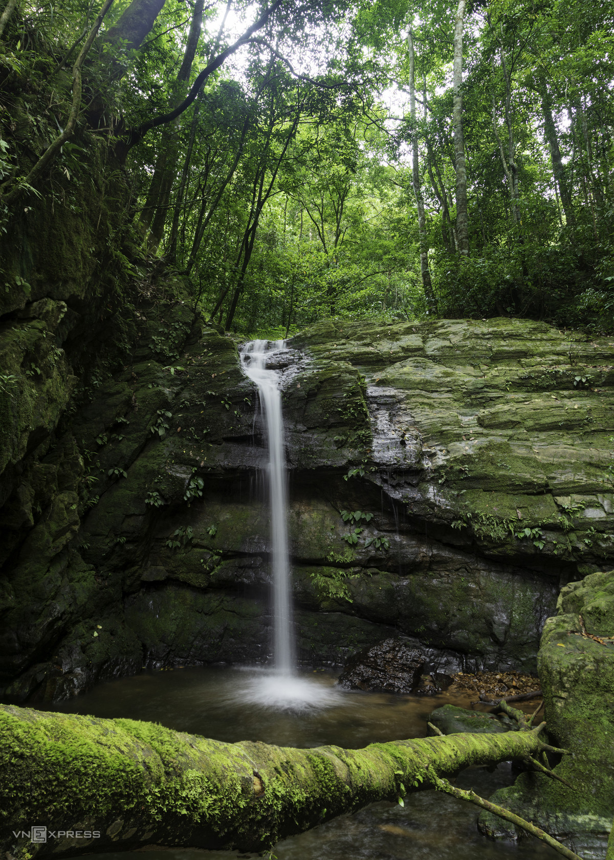 Immersing in nature's grandeur: Dakrong Nature Reserve