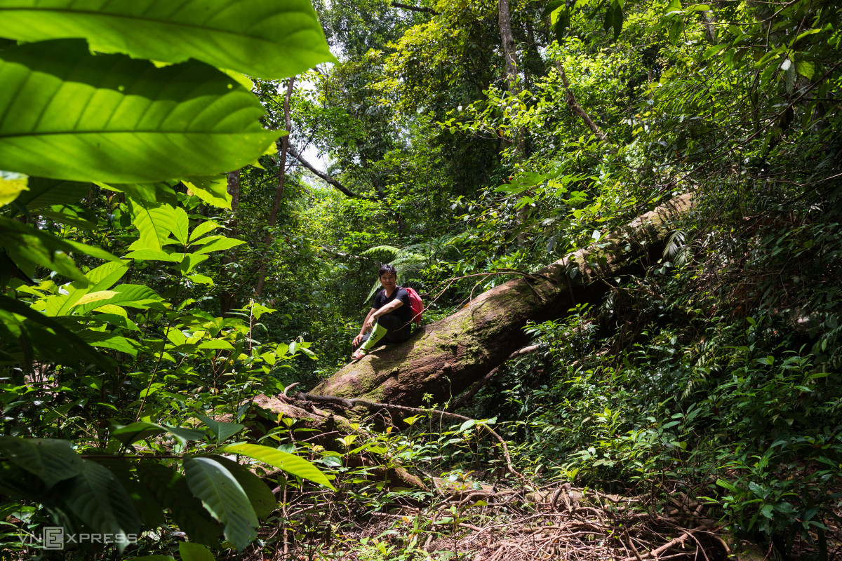 Immersing in nature's grandeur: Dakrong Nature Reserve