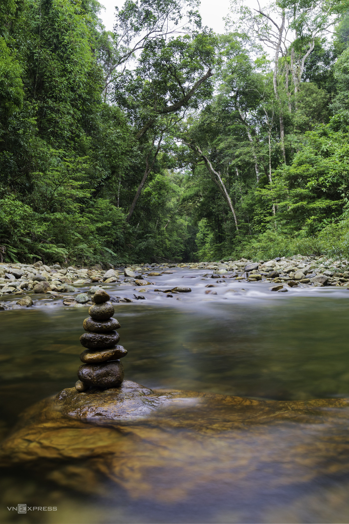 Immersing in nature's grandeur: Dakrong Nature Reserve