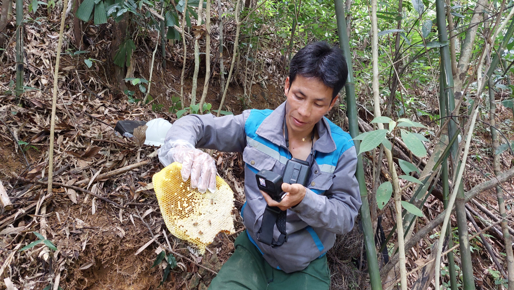 Anh Sám cho biết: Do mật ong đá rất đặc nên nặng từ 1,4-1,6 kg/lít