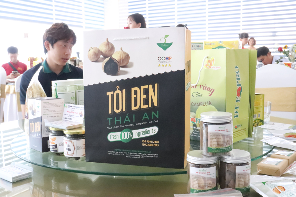 Sản phẩm tỏi đen Thái An của HTX Nông - lâm - ngư nghiệp Thái An được hỗ trợ kết nối tiêu thụ tại hội nghị tiêu thụ sản phẩm OCOP, sản phẩm thương hiệu của Quảng Ninh và các tỉnh thành phố năm 2022.