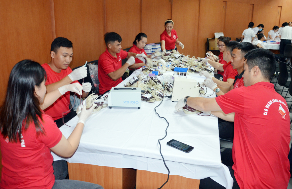 Các tình nguyện viên của CLB Ngân hàng máu sống Quảng Ninh tham gia hỗ trợ phân loại máu trước khi chuyển