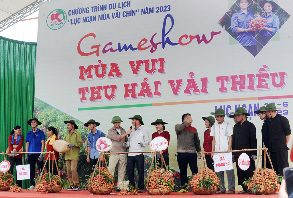 Huyện Lục Ngạn tổ chức quảng bá vải thiều qua Game show 