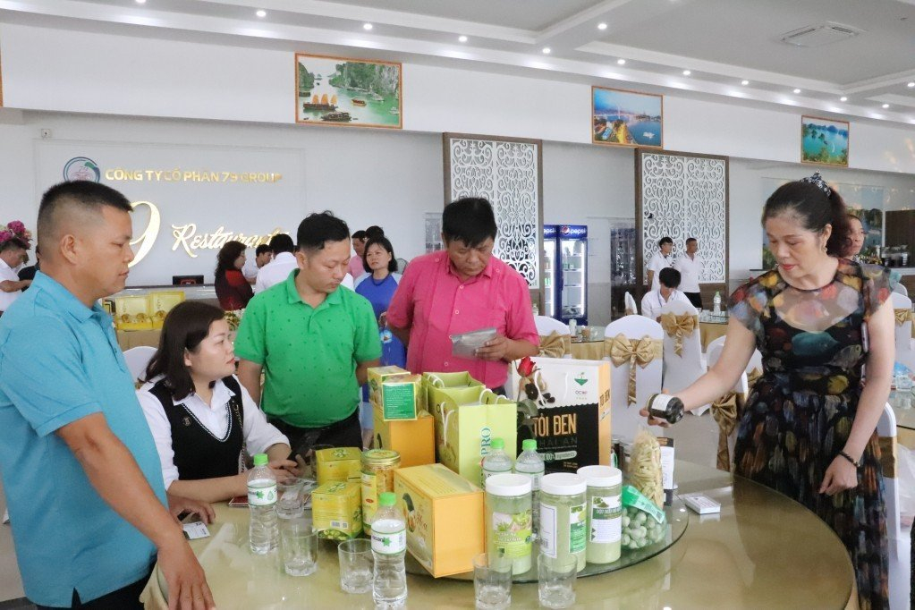 Các doanh nghiệp có cơ hội tìm hiểu thực tế sản phẩm, đàm phán trực tiếp tại Hội nghị kết nối tiêu thụ sản phẩm OCOP trong khuôn khổ Hội chợ OCOP khu vực phía Bắc - Quảng Ninh 2022.